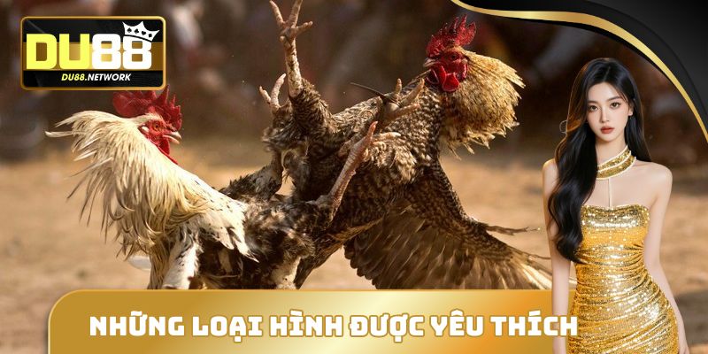 Những loại hình đá gà trực tiếp DU88 được yêu thích nhất